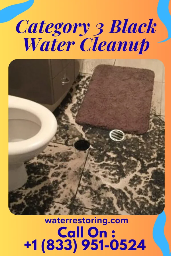 Category 3 Black Water Cleanup in Danville, KS