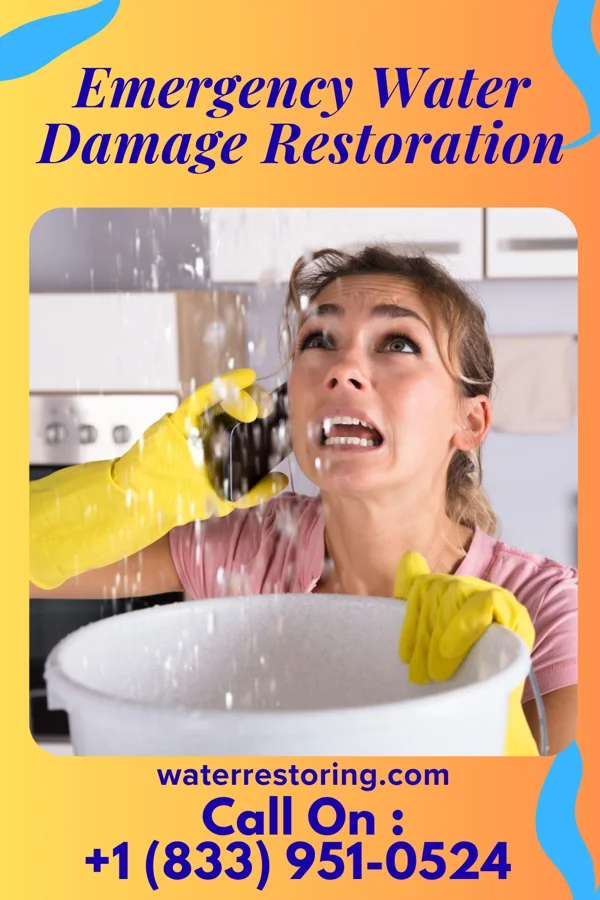 Emergency Water Damage Restoration in Danville, KS